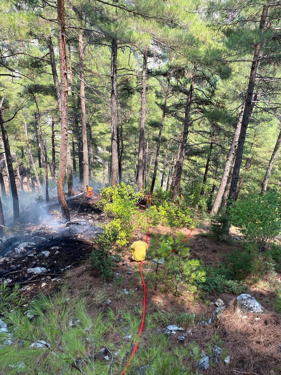 Adana'nın Feke ilçesinde ormanlık alanda çıkan yangın, havadan ve karadan müdahaleyle kontrol...