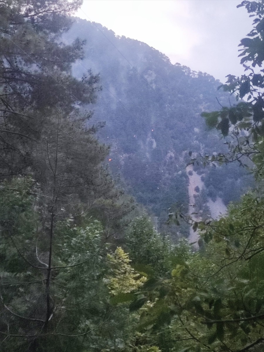 Adana'nın Feke ilçesinde ormanlık alanda çıkan yangına müdahale devam etti. 
