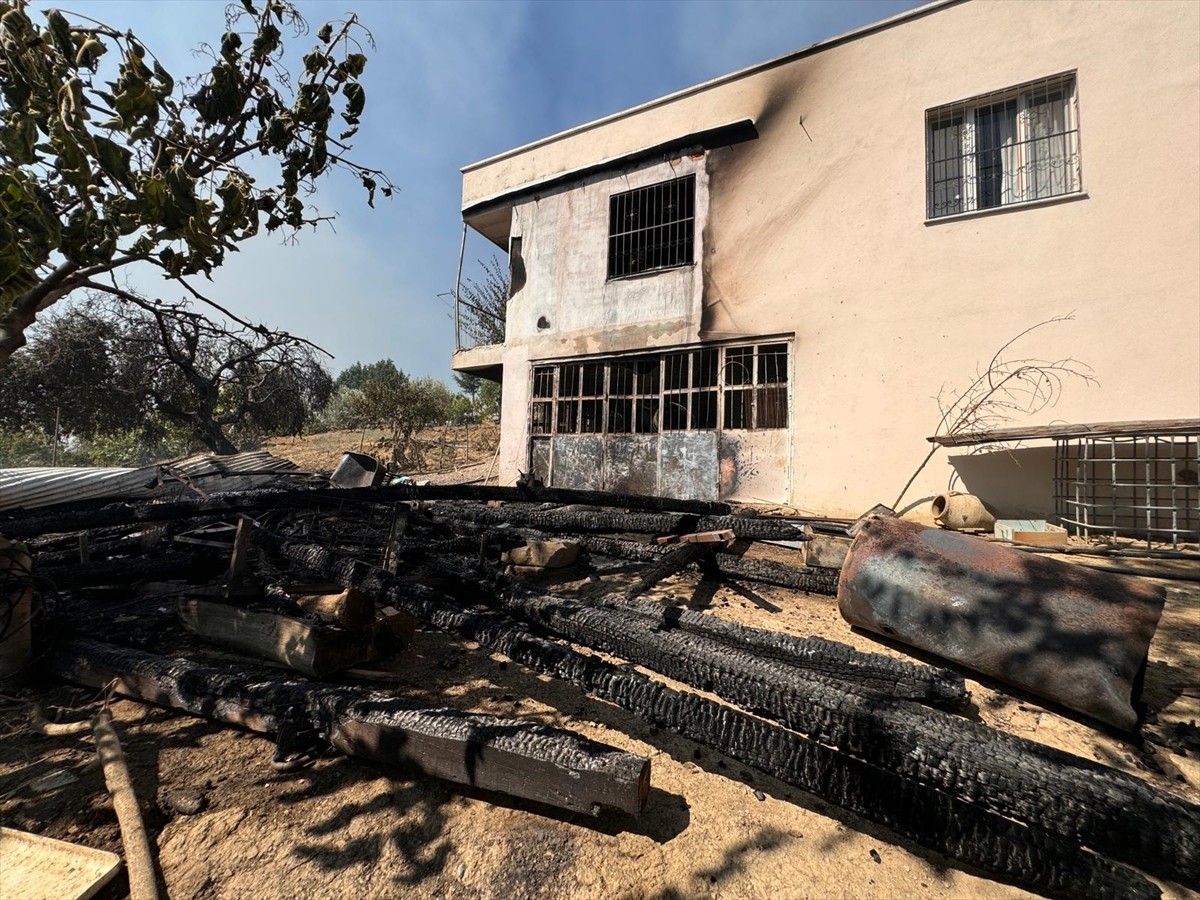 Adana'nın Kozan ilçesinde çıkan orman yangınına karadan ve havadan müdahale edildi.