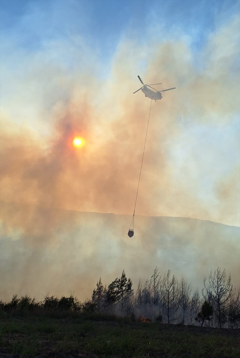 Adana'nın Kozan ilçesinde çıkan orman yangınına karadan ve havadan müdahale edildi.