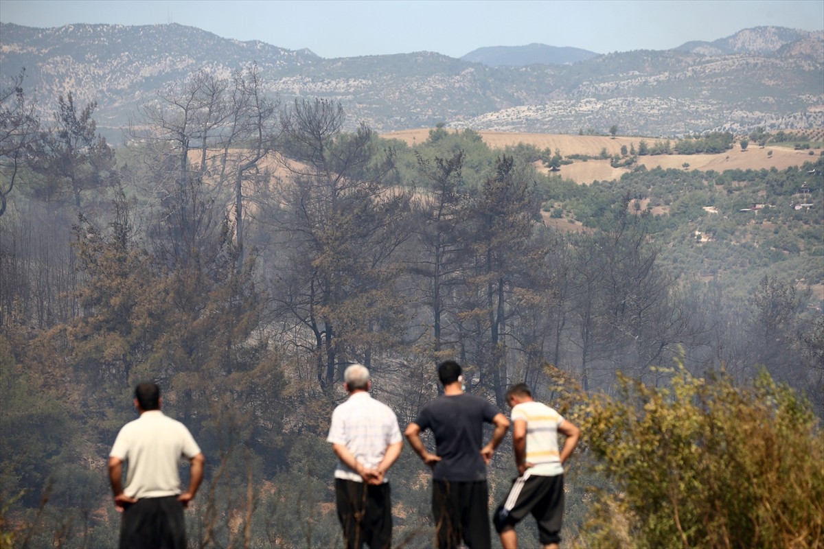 Adana'nın Kozan ilçesinde çıkan orman yangınına karadan ve havadan müdahale ediliyor.