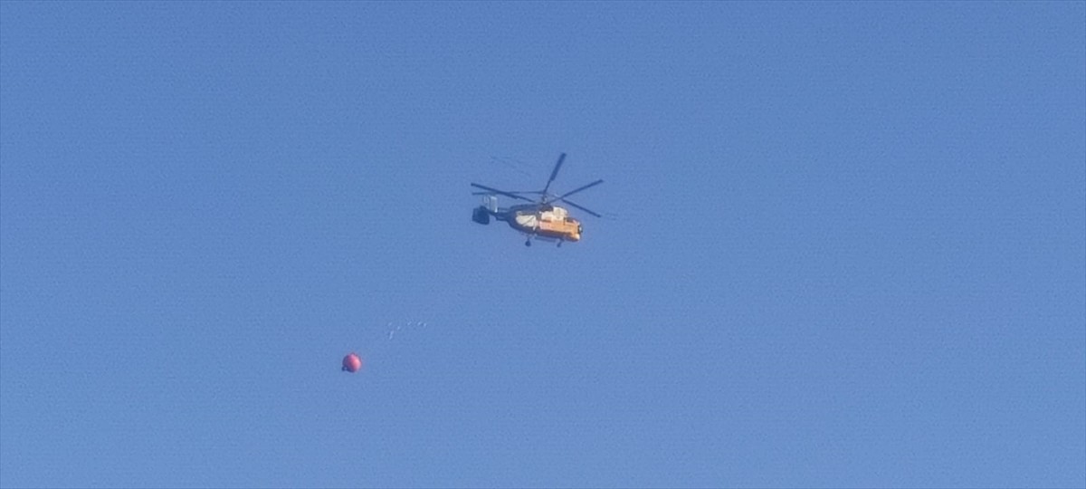 Adana'nın Kozan ilçesinde çıkan orman yangınına karadan ve havadan müdahale ediliyor.