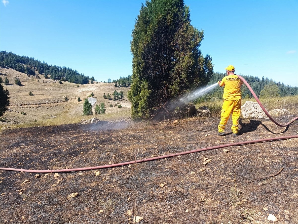 Adana'nın Saimbeyli ilçesinde ormanlık alana sıçrayan anız yangını kontrol altına alındı.