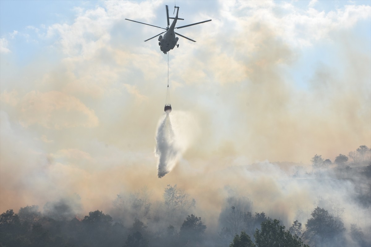 Afyonkarahisar'ın Şuhut ilçesinde Koçyatağı köyü Başarap mevkisindeki dağlık bölgede yer alan...