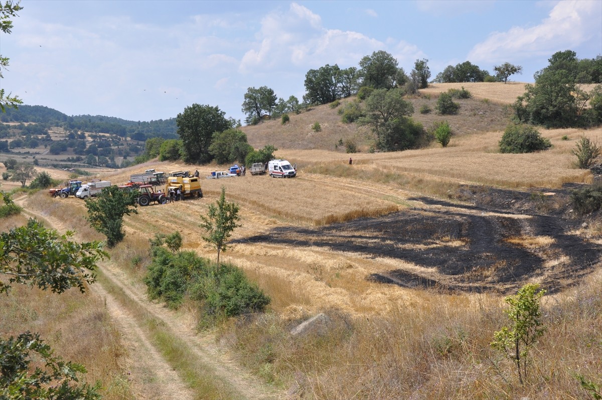 Amasya'nın Gümüşhacıköy ilçesinde, buğday ekili arazide çıkan yangın hasara yol açtı. 