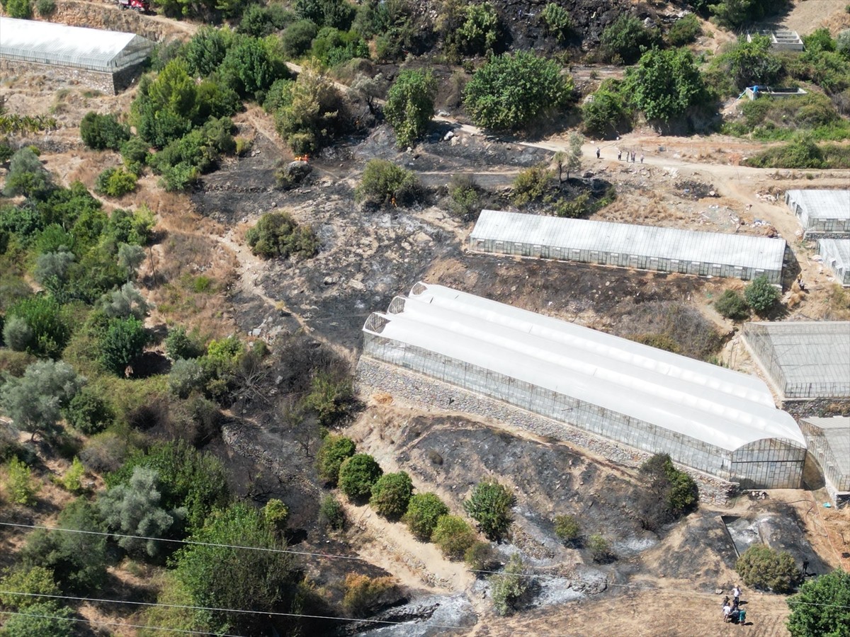 Antalya'nın Gazipaşa ilçesinde Karalar Mahallesi Gözüllü mevkisindeki ormanlık alanda henüz...