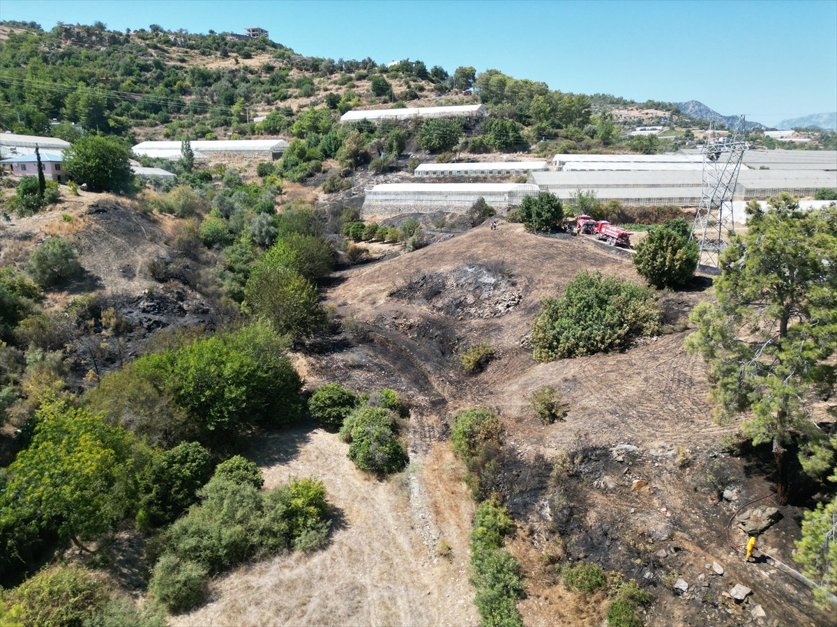 Antalya'nın Gazipaşa ilçesinde Karalar Mahallesi Gözüllü mevkisindeki ormanlık alanda henüz...