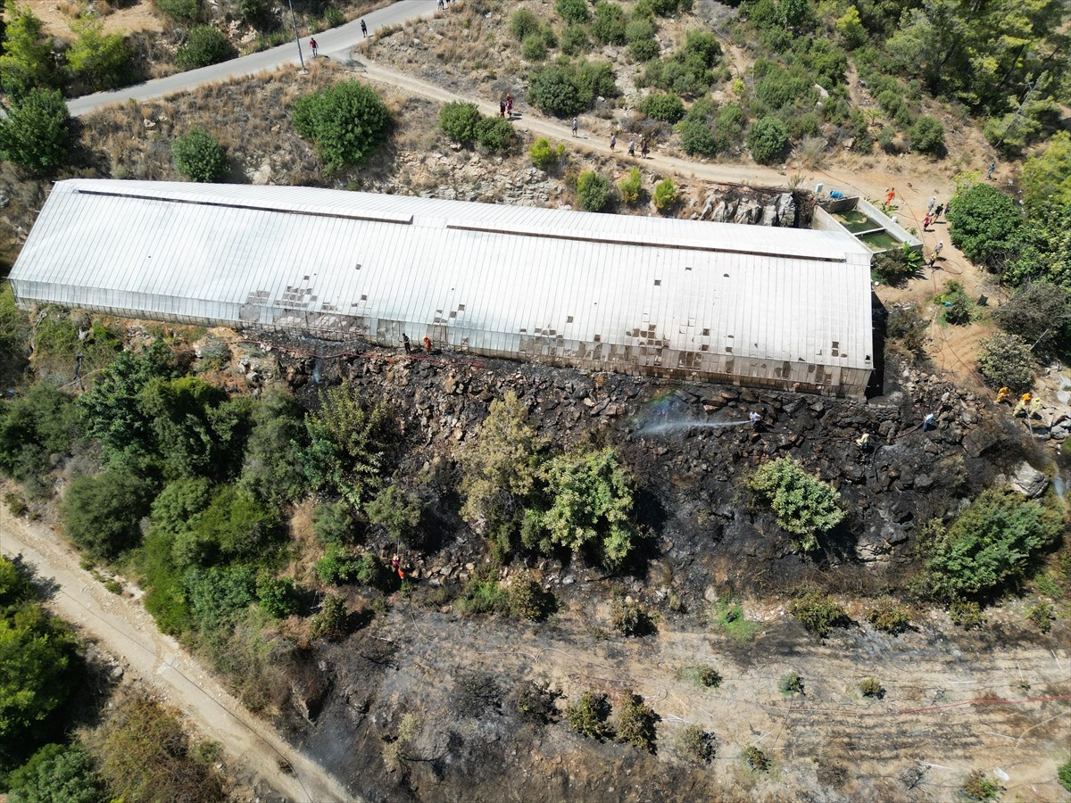 Antalya'nın Gazipaşa ilçesinde Karalar Mahallesi Gözüllü mevkisindeki ormanlık alanda henüz...