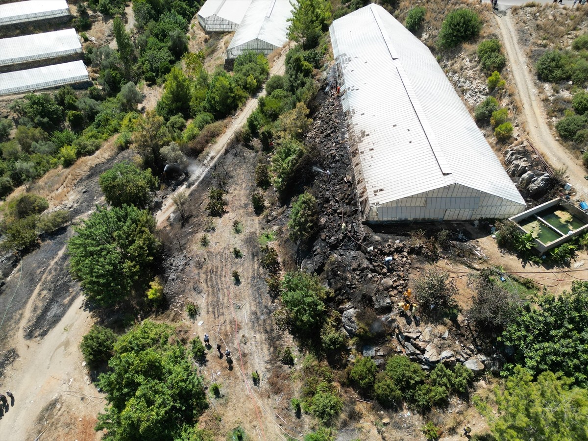 Antalya'nın Gazipaşa ilçesinde Karalar Mahallesi Gözüllü mevkisindeki ormanlık alanda henüz...