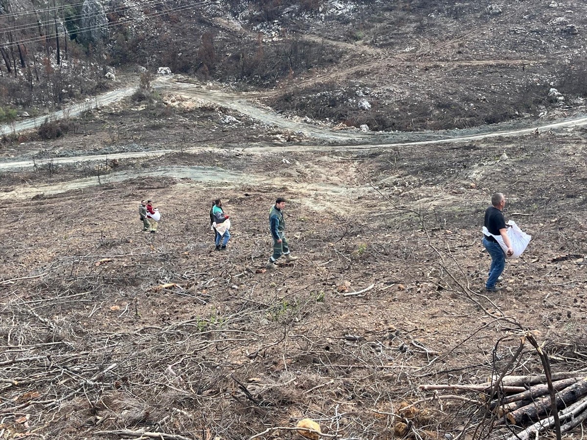 Antalya'nın Kemer ilçesindeki geçen yıl 5 günde kontrol altına alınabilen orman yangınının...