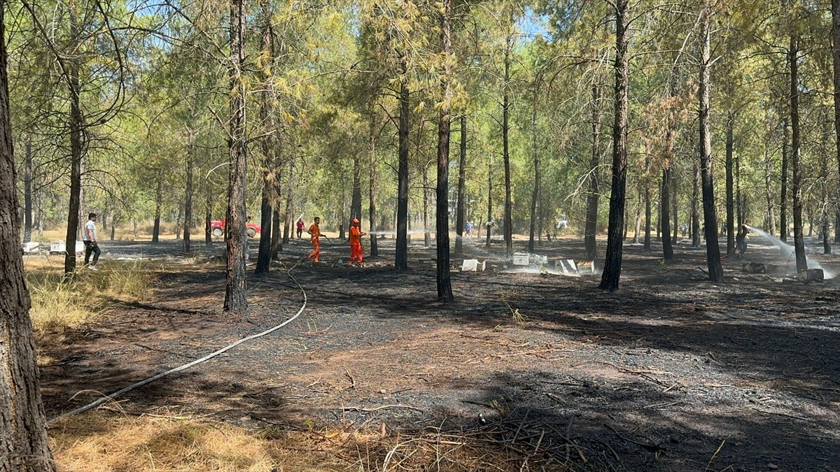 Antalya'nın Konyaaltı ilçesinde ormanlık alanda çıkan yangın, ekiplerin havadan ve karadan...