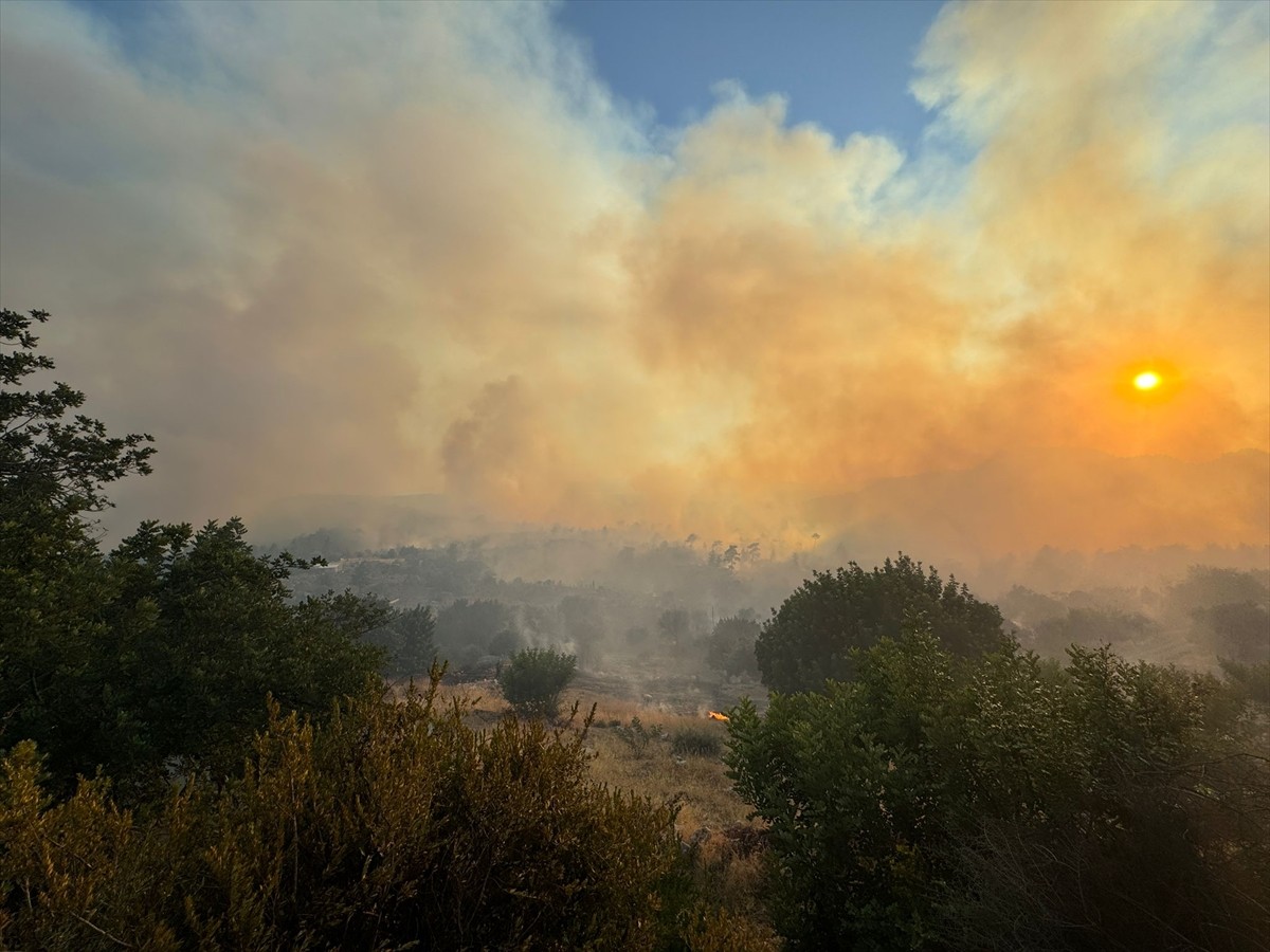 Antalya'nın Serik ilçesinde ormanlık alanda çıkan yangına havadan ve karadan müdahale edildi.