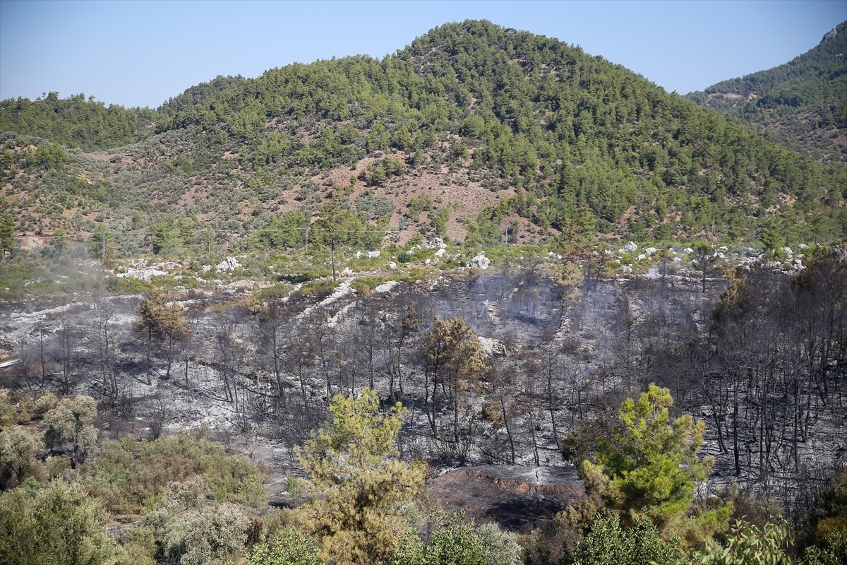 Antalya'nın Serik ilçesinde ormanlık alanda dün çıkan orman yangınını kontrol altına almak için...