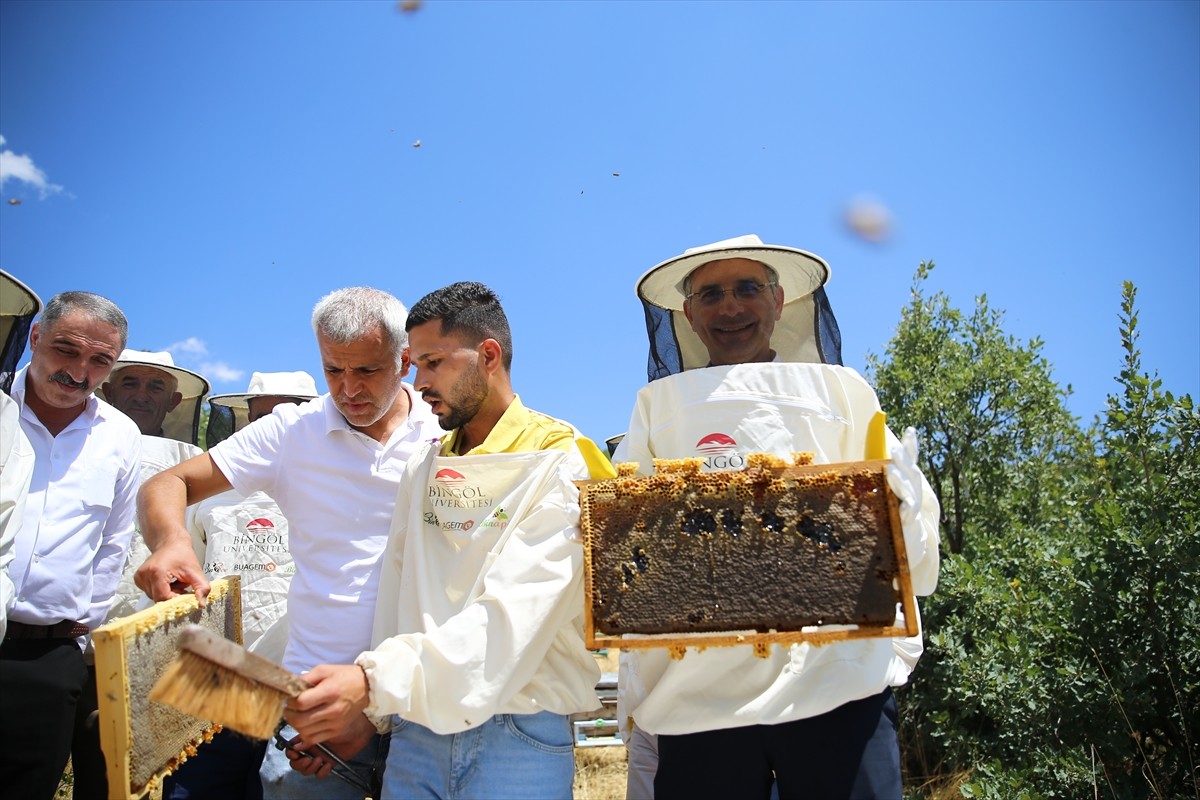 Avrupa Birliği'nden (AB) coğrafi işaret tescili almaya hak kazanan Bingöl balında hasat...