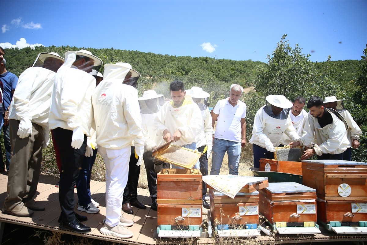 Avrupa Birliği'nden (AB) coğrafi işaret tescili almaya hak kazanan Bingöl balında hasat...