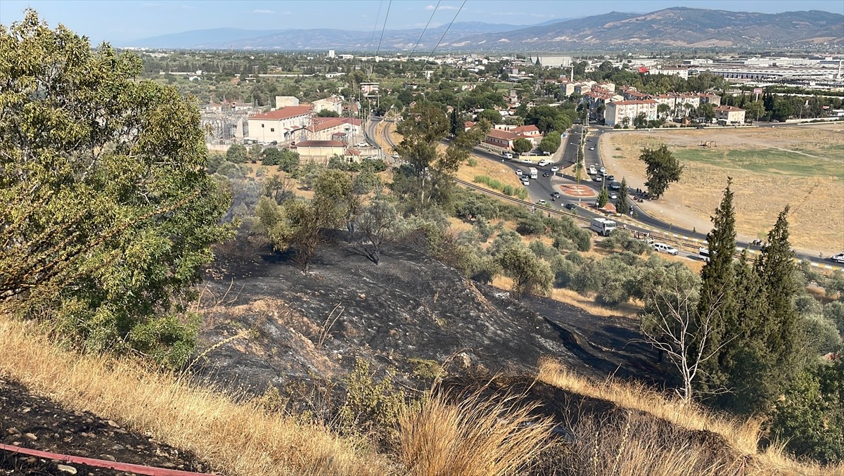 Aydın'da ağaçlık ve otluk alanda çıkan yangın, havadan ve karadan müdahaleyle kontrol altına...