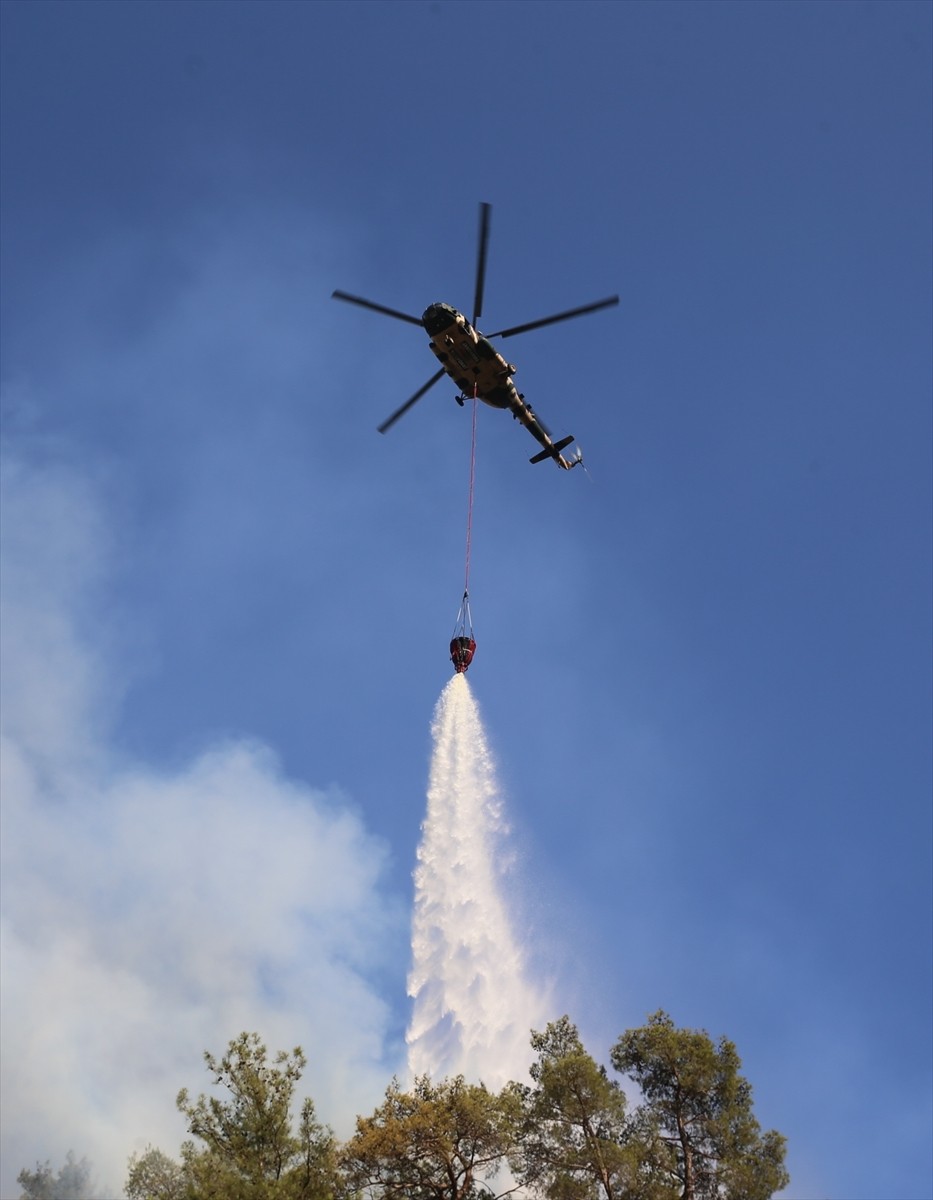Aydın'ın Efeler ilçesinde, ormanlık ve zeytinlik alanda çıkan ve kontrol altına alınan yangın...