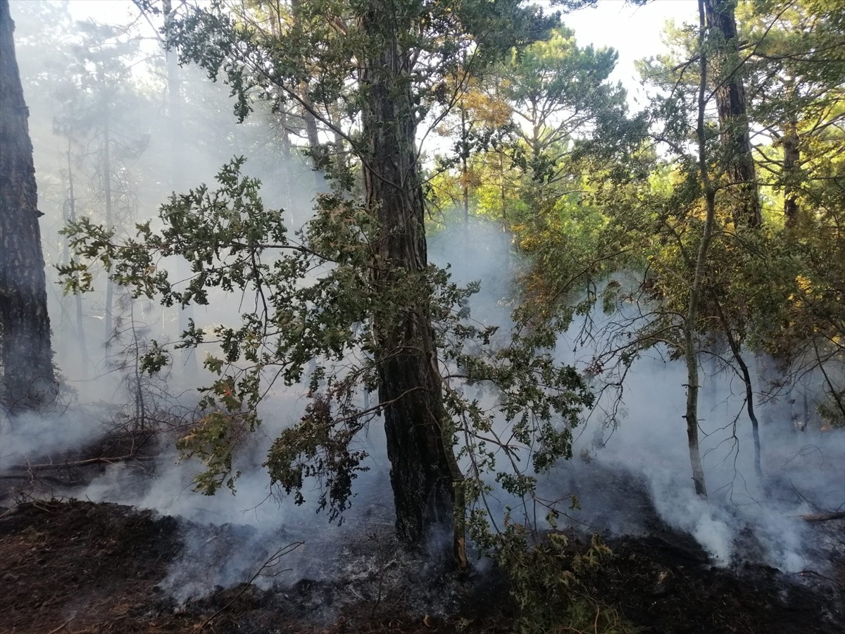 Balıkesir'in Havran ilçesinde ormanlık alanda çıkan yangının kontrol altına alınması için havadan...