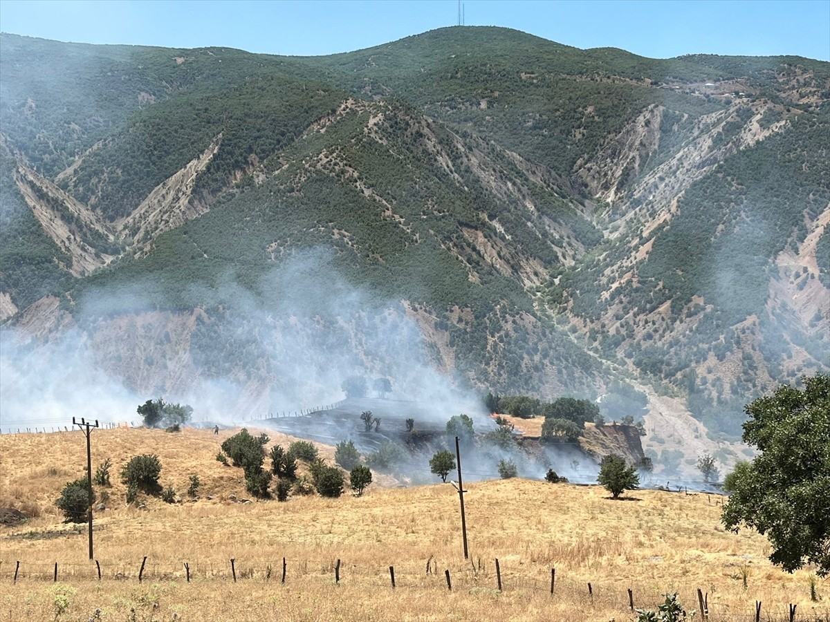 Bingöl'ün Genç ile Kiğı ilçelerinde çıkan orman yangınları söndürüldü.