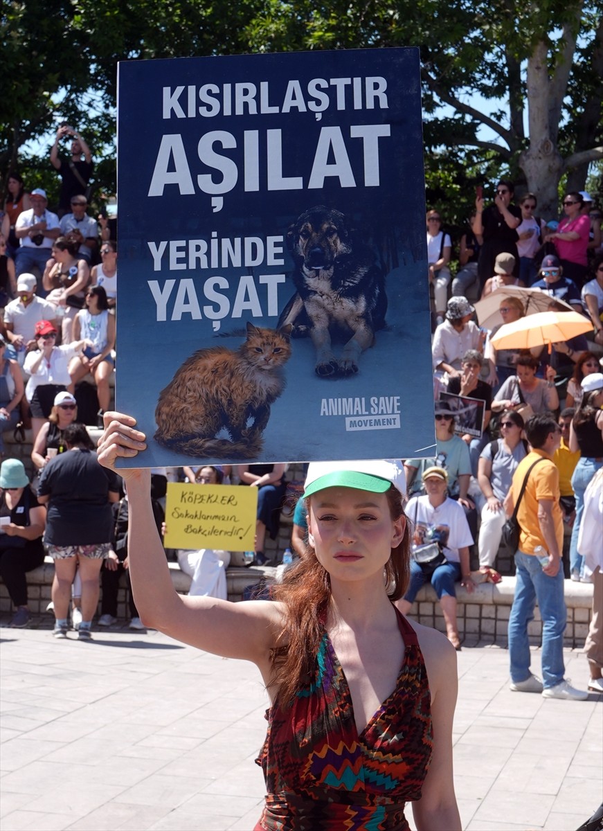 Bir grup hayvansever, sahipsiz hayvanlara yönelik "Hayvanları Koruma Kanununda Değişiklik...