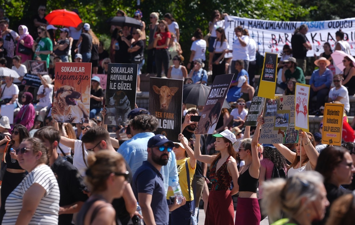 Bir grup hayvansever, sahipsiz hayvanlara yönelik "Hayvanları Koruma Kanununda Değişiklik...