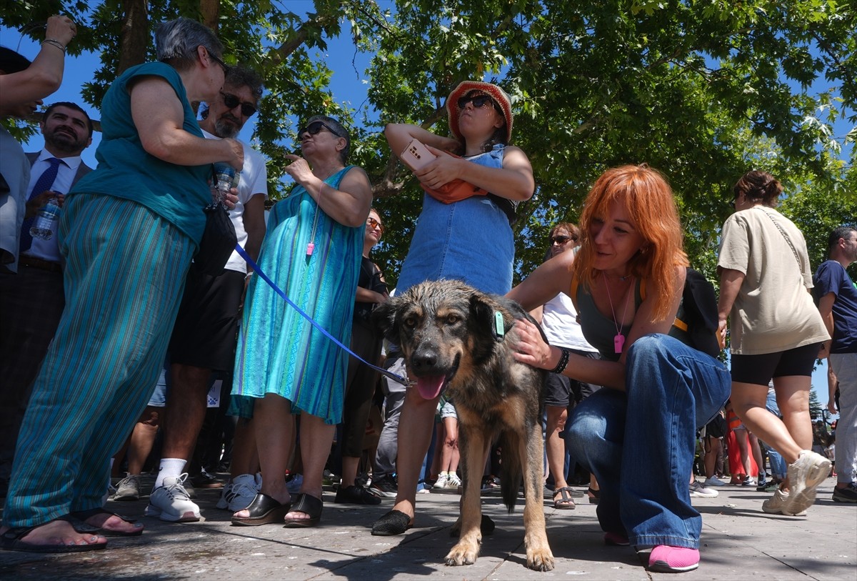 Bir grup hayvansever, sahipsiz hayvanlara yönelik "Hayvanları Koruma Kanununda Değişiklik...