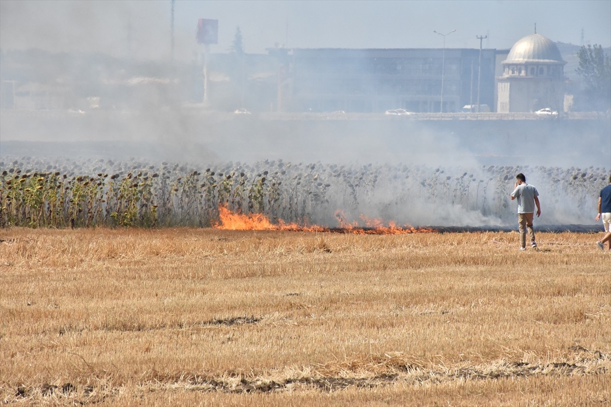 Bursa'nın Nilüfer ilçesinde yerleşim alanını tehdit eden anız yangını, ekiplerce kontrol altına...