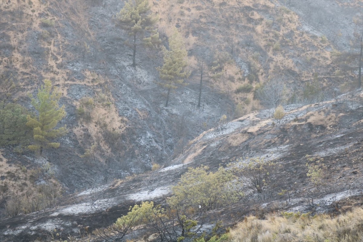 Denizli'nin Çivril ilçesinde çıkan orman yangını havadan ve karadan müdahaleyle kontrol altına...
