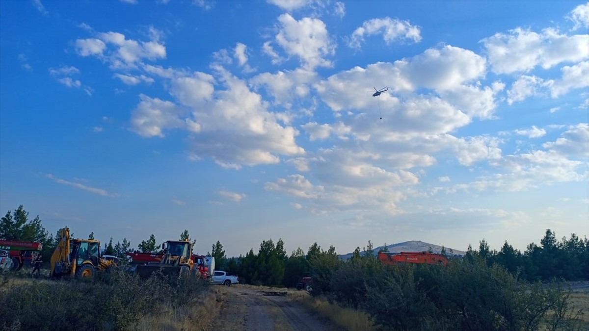 Denizli'nin Çivril ilçesinde çıkan orman yangını havadan ve karadan müdahaleyle kontrol altına...