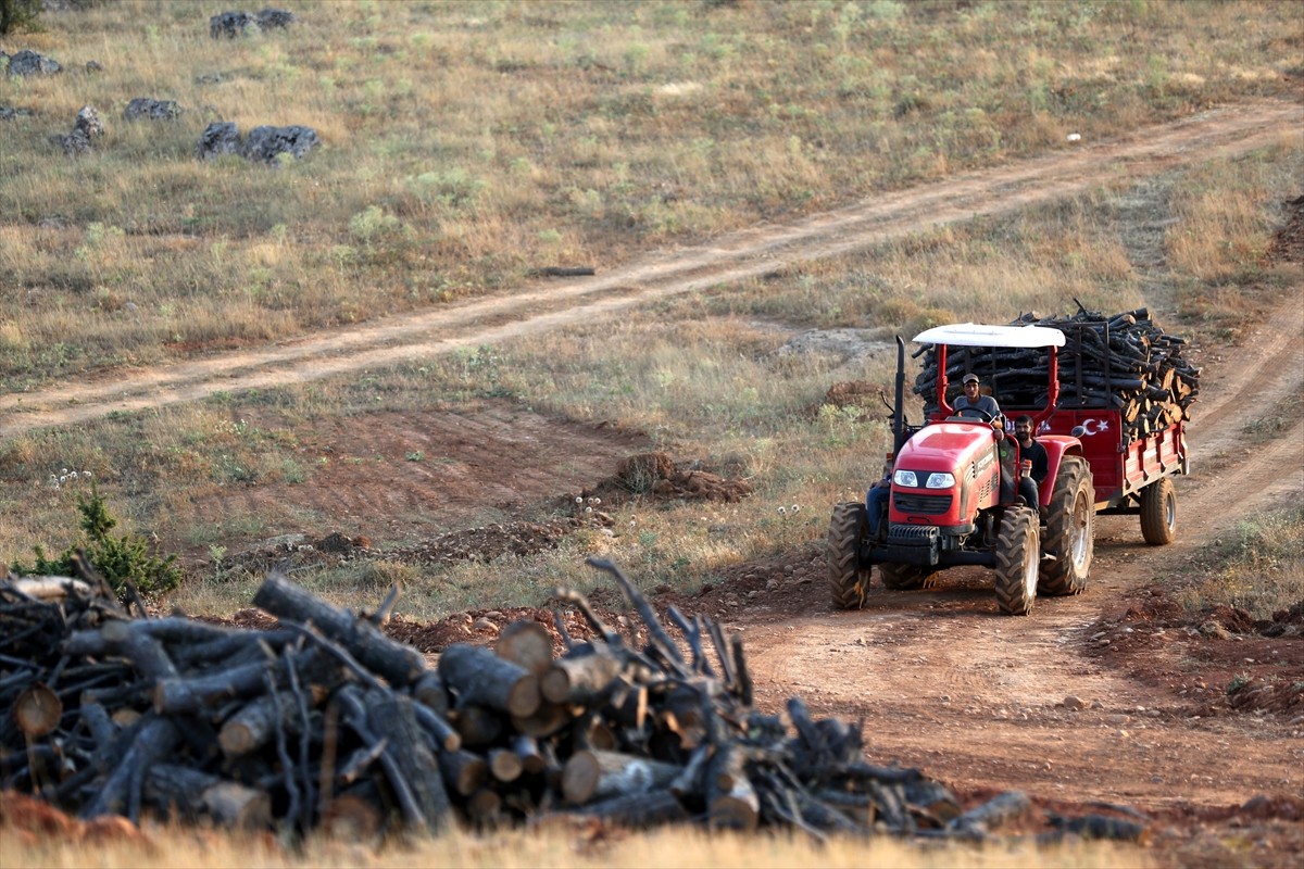 Diyarbakır ve Mardin'den Kayseri'nin Yahyalı ilçesine gelen işçiler, ekmek paralarını evlerinden...
