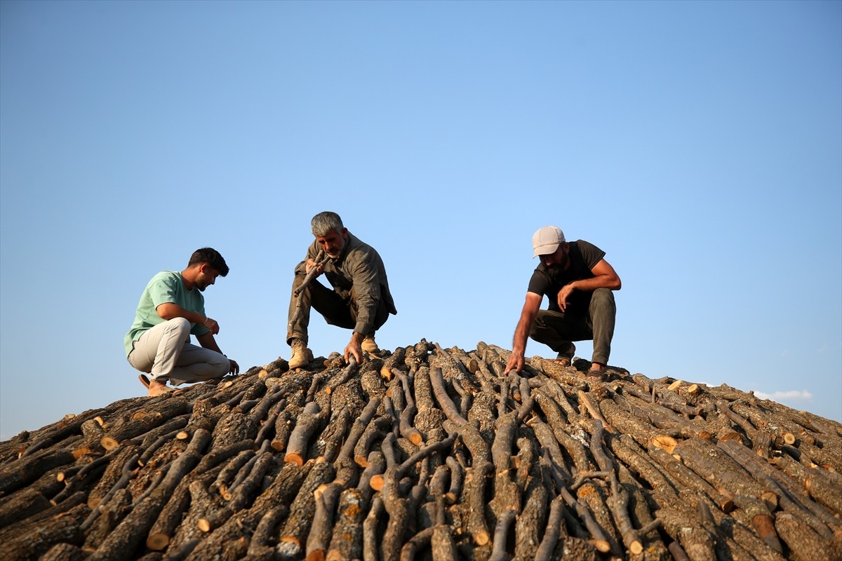 Diyarbakır ve Mardin'den Kayseri'nin Yahyalı ilçesine gelen işçiler, ekmek paralarını evlerinden...