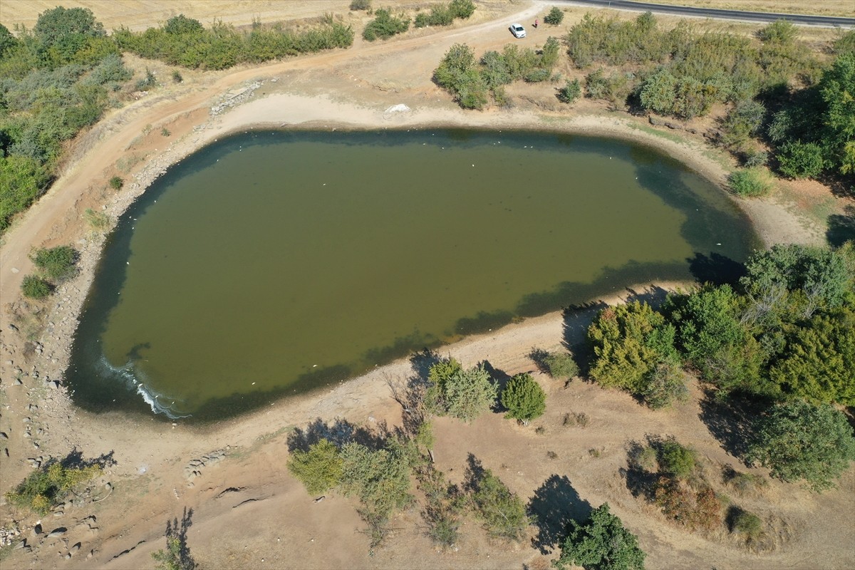 Edirne'nin Lalapaşa ilçesine bağlı Çömlekköy Göleti'nde, su seviyesinin düşmesine bağlı oksijen...