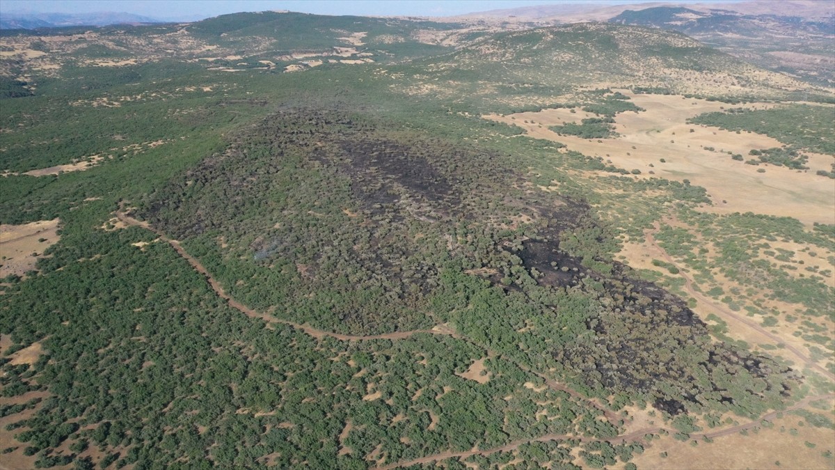  Elazığ'ın Karakoçan ilçesinde ormanlık alanda çıkan yangın kontrol altına alındı. Ekiplerin...