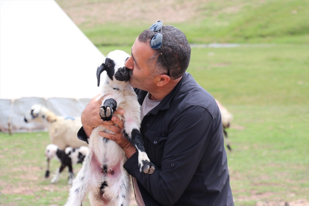 Erzurum'un 2 bin 600 rakımındaki Dumlubaba Yaylası'nda konaklayan göçerlerin günlük yaşamı zorlu...
