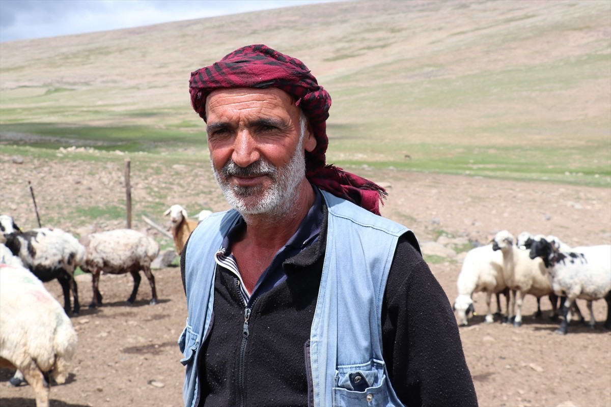 Erzurum'un 2 bin 600 rakımındaki Dumlubaba Yaylası'nda konaklayan göçerlerin günlük yaşamı zorlu...