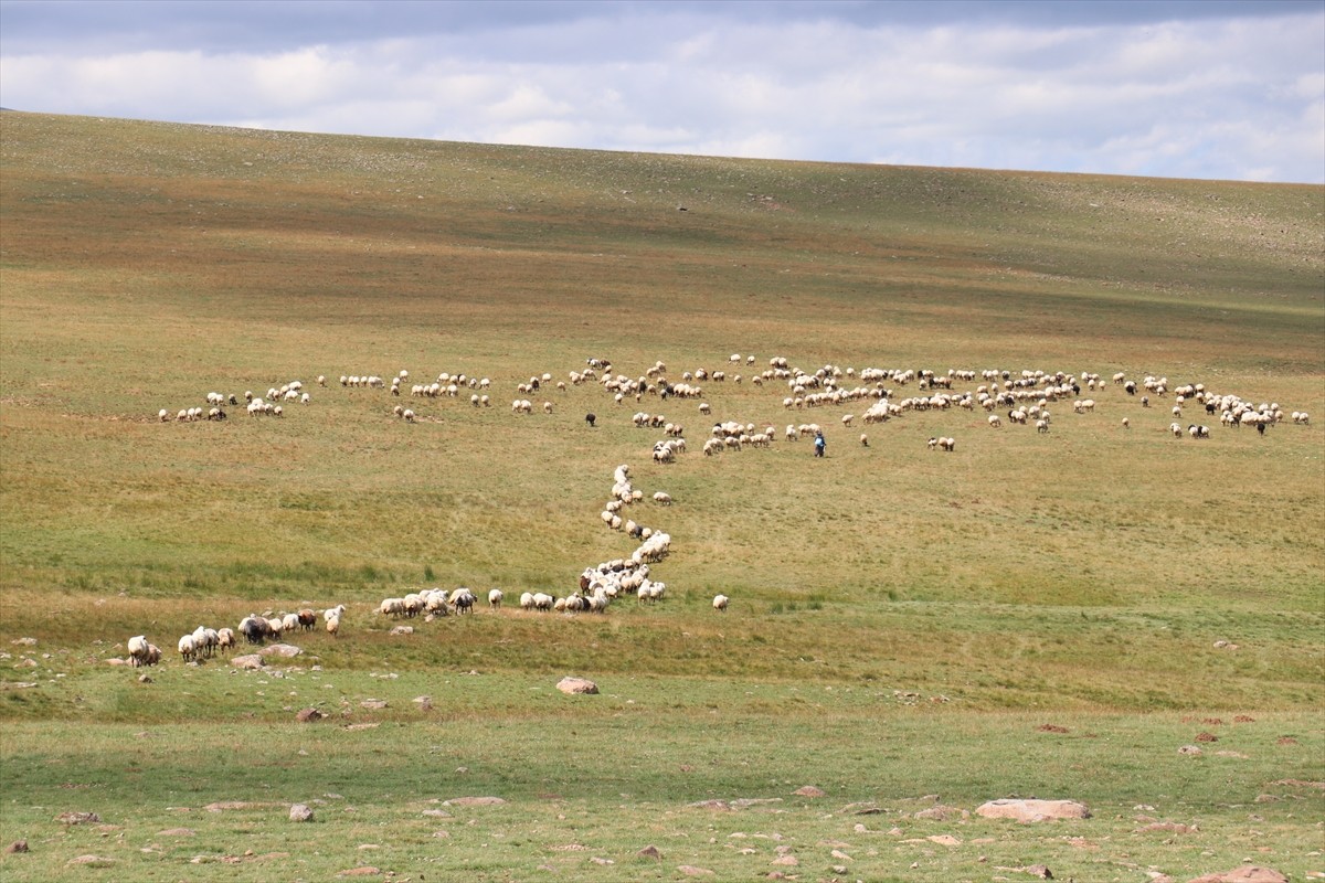 Erzurum'un 2 bin 600 rakımındaki Dumlubaba Yaylası'nda konaklayan göçerlerin günlük yaşamı zorlu...