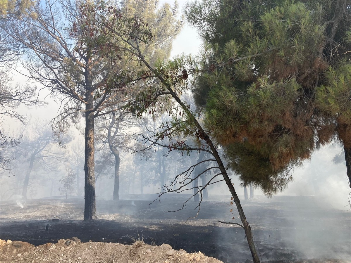 Gaziantep'te çıkan orman yangınına Orman İşletme Müdürlüğü ve Büyükşehir Belediyesi itfaiye...