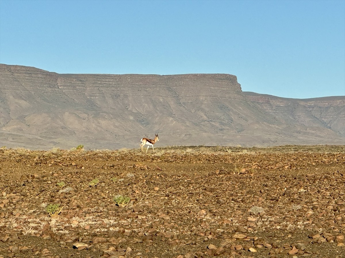 Güney Afrika Cumhuriyeti'nin güneybatısından başlayıp, Atlas Okyanusu sahilleri boyunca Namib...