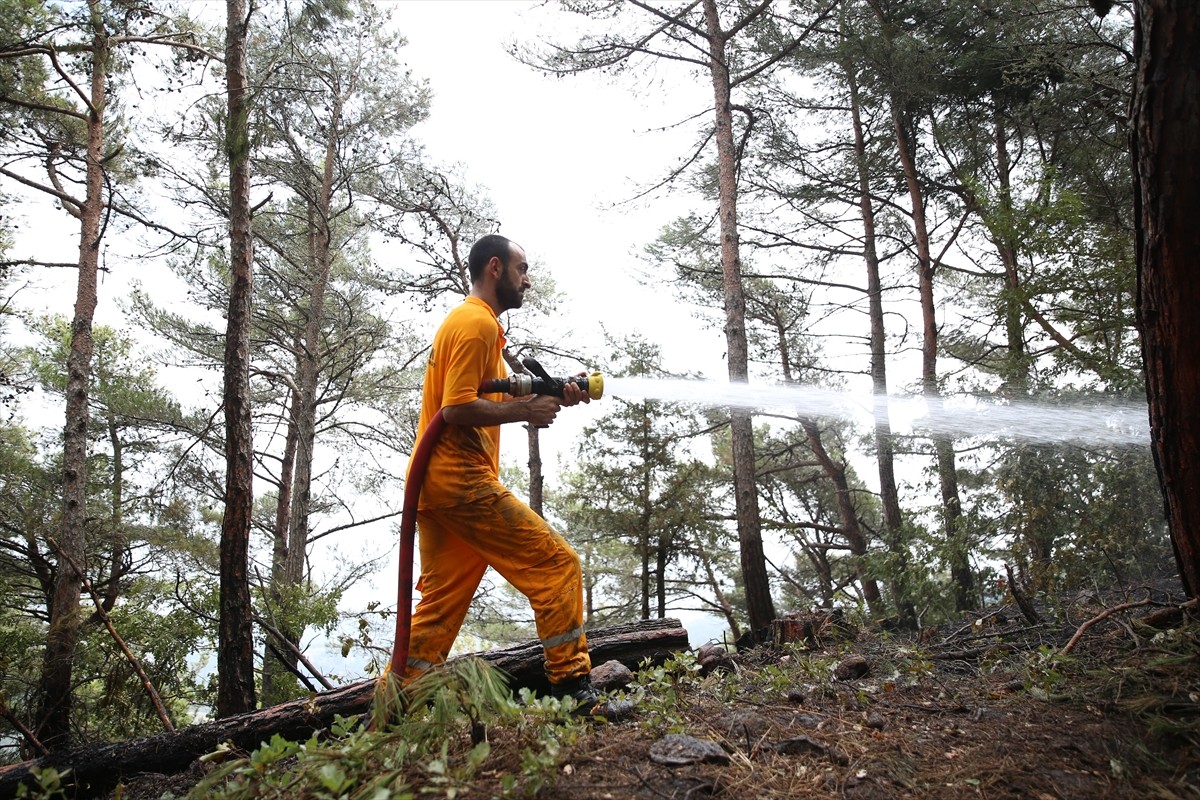 Hatay'ın Arsuz ilçesinde ormanlık alanda çıkan yangın, havadan ve karadan müdahaleyle kontrol...