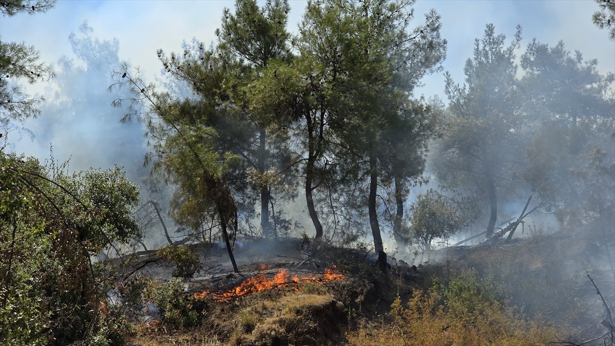 Hatay'ın Hassa ilçesinde ormanlık alanda çıkan yangına havadan ve karadan müdahale...