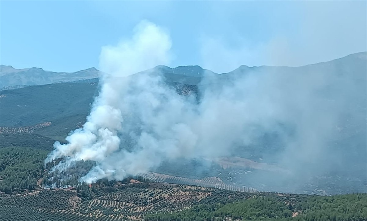 Hatay'ın Hassa ilçesinde ormanlık alanda çıkan yangına havadan ve karadan müdahale...