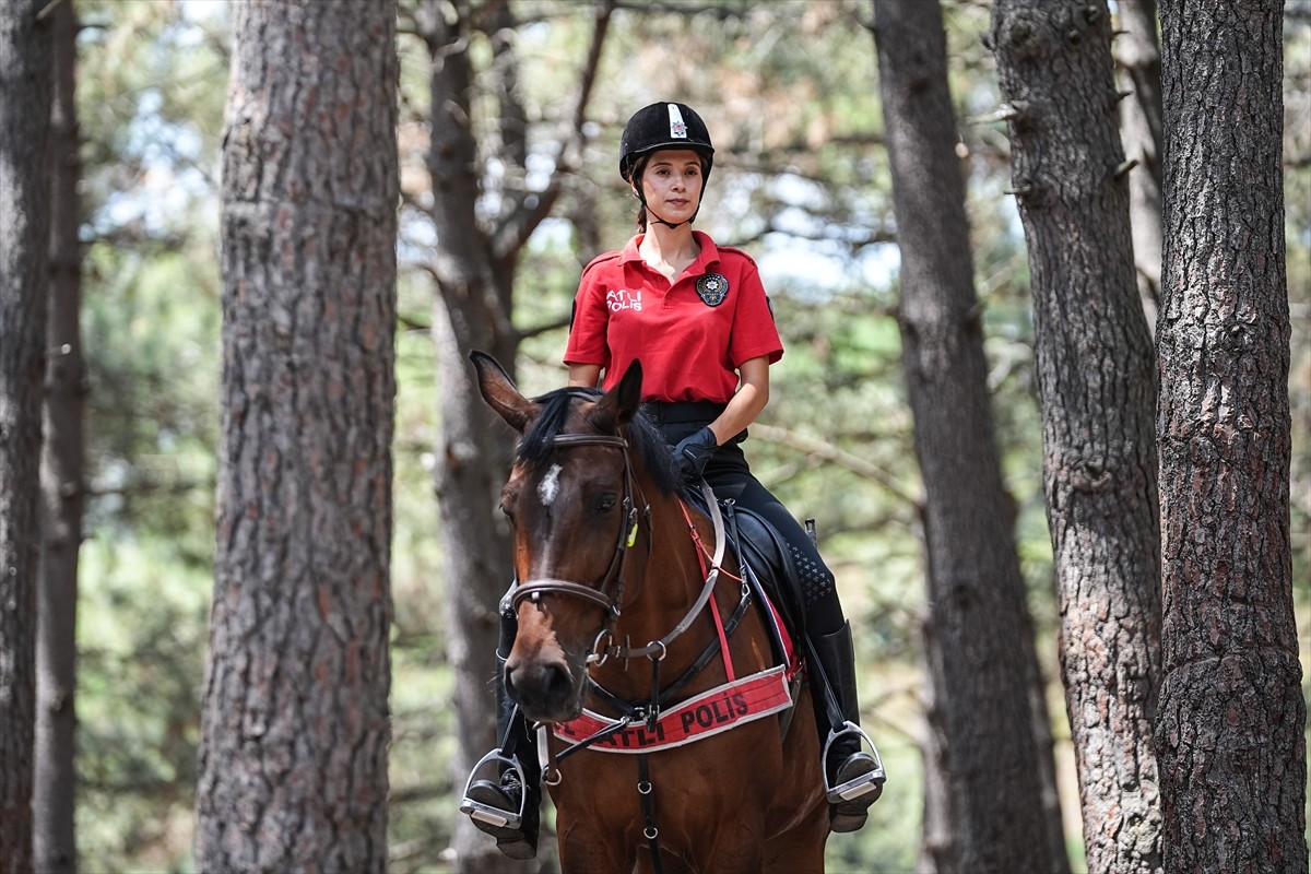 İstanbul Emniyet Müdürlüğüne bağlı ekipler, orman yangınlarıyla mücadele kapsamında Sultangazi'de...