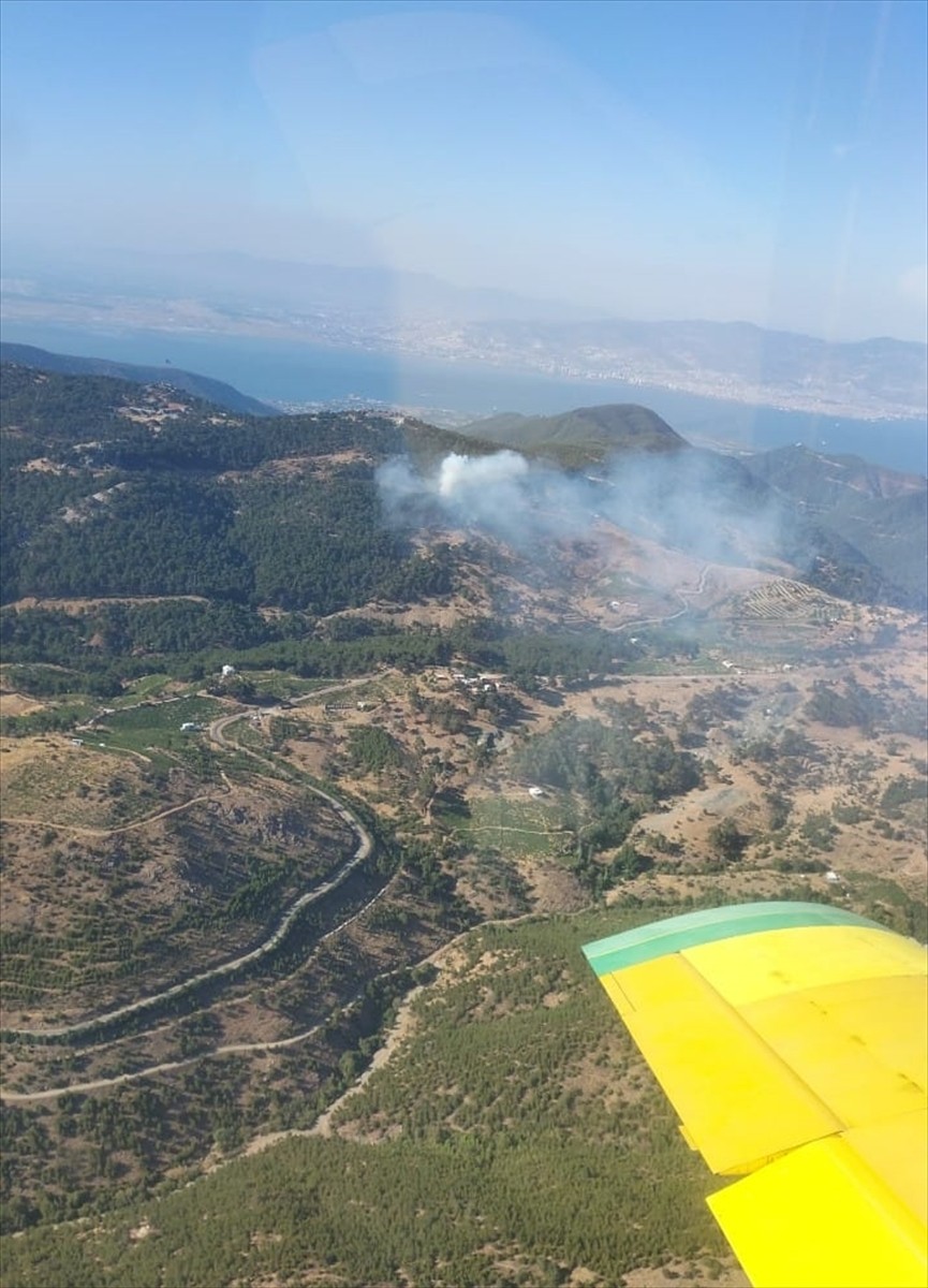 İzmir'in Karabağlar ilçesinde çıkan orman yangınına havadan ve karadan müdahale ediliyor.