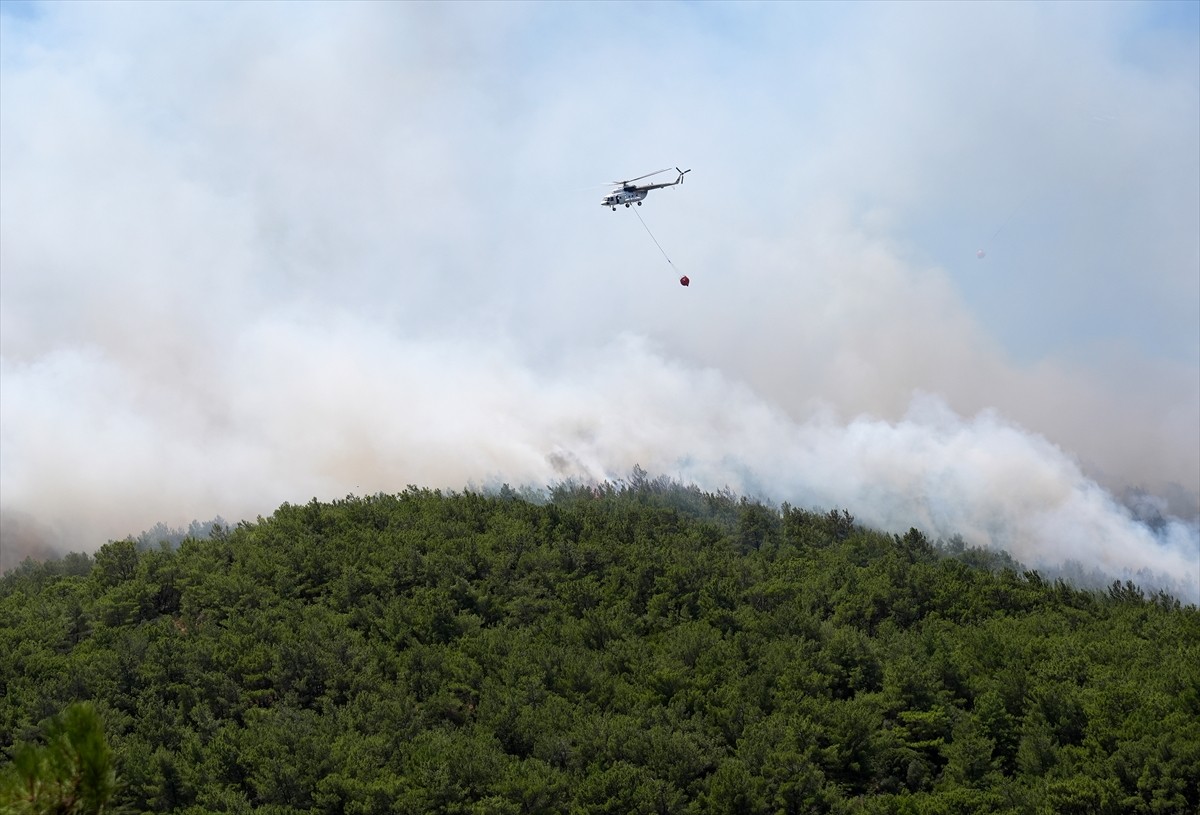 İzmir'in Urla ilçesinde çıkan orman yangınına havadan ve karadan müdahale ediliyor. 