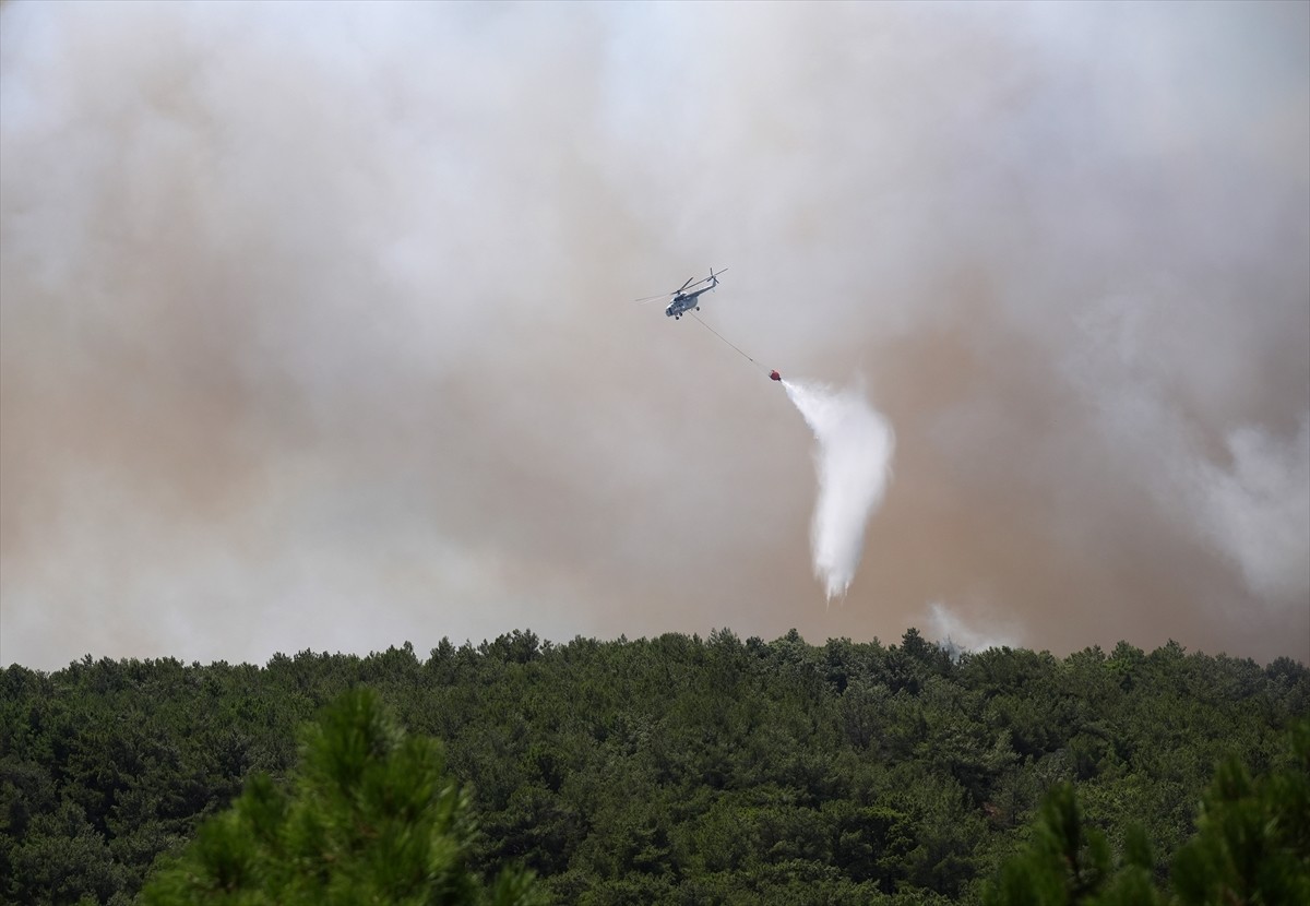 İzmir'in Urla ilçesinde çıkan orman yangınına havadan ve karadan müdahale ediliyor. 