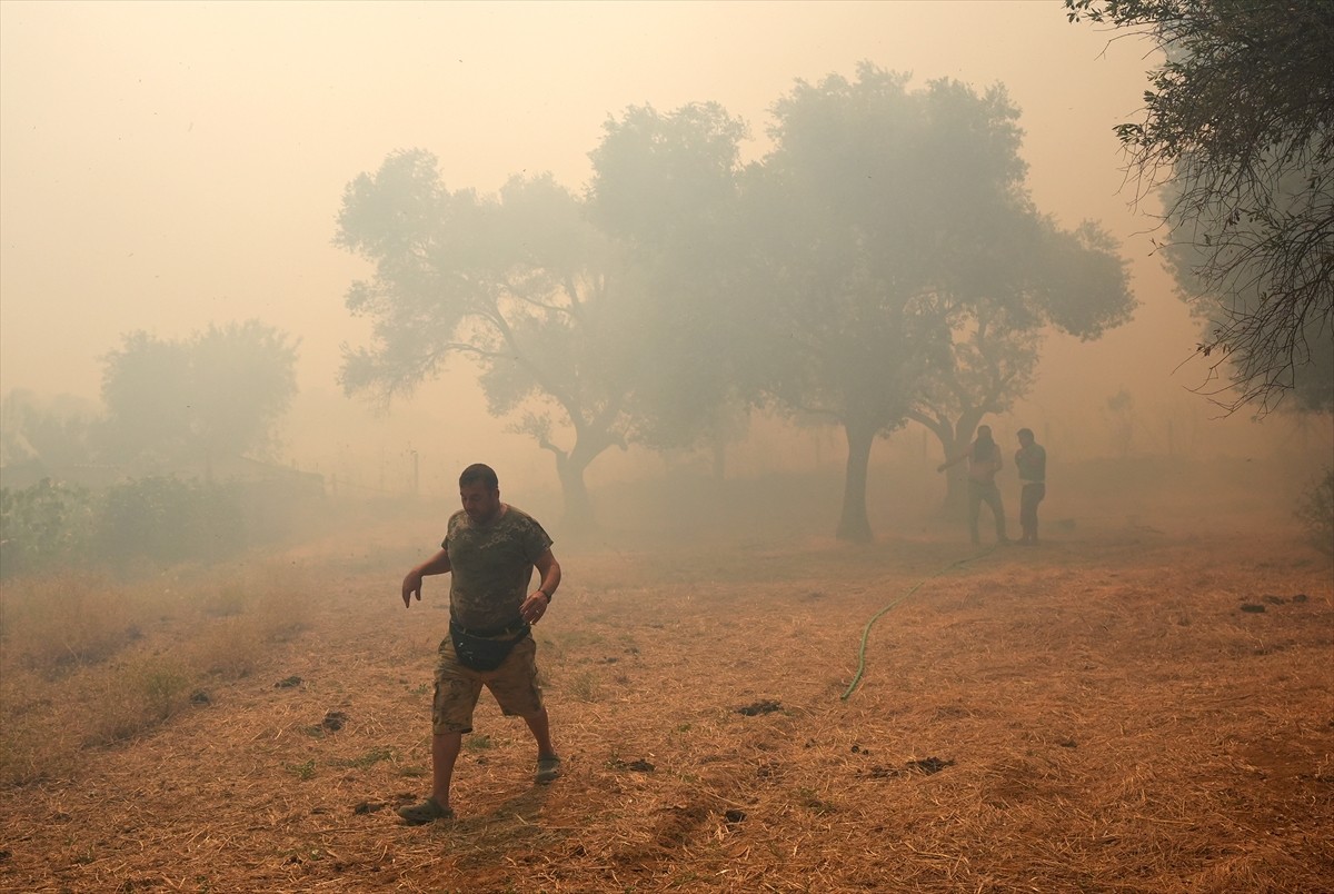 İzmir'in Urla ilçesinin Çeşmealtı Mahallesi'ndeki yerleşim yerlerine yakın ormanlık alanda, henüz...