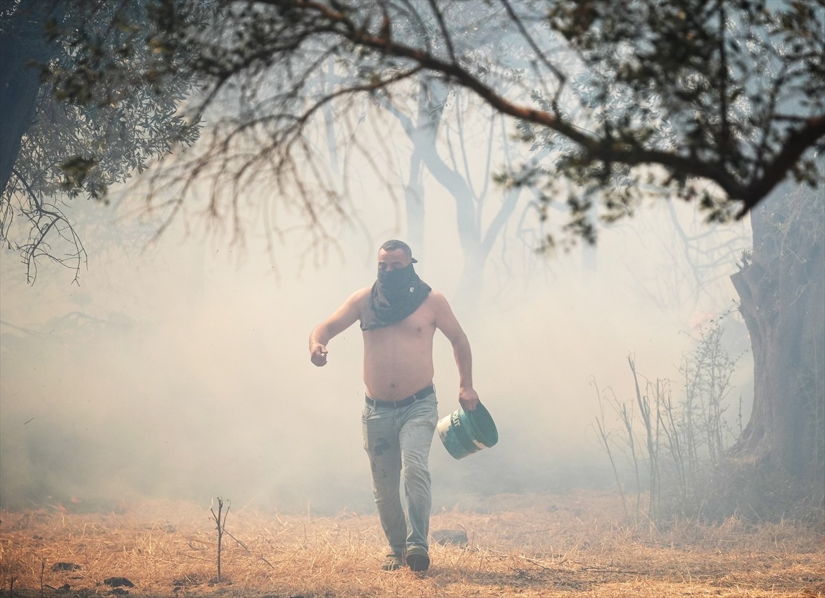 İzmir'in Urla ilçesinin Çeşmealtı Mahallesi'ndeki yerleşim yerlerine yakın ormanlık alanda, henüz...