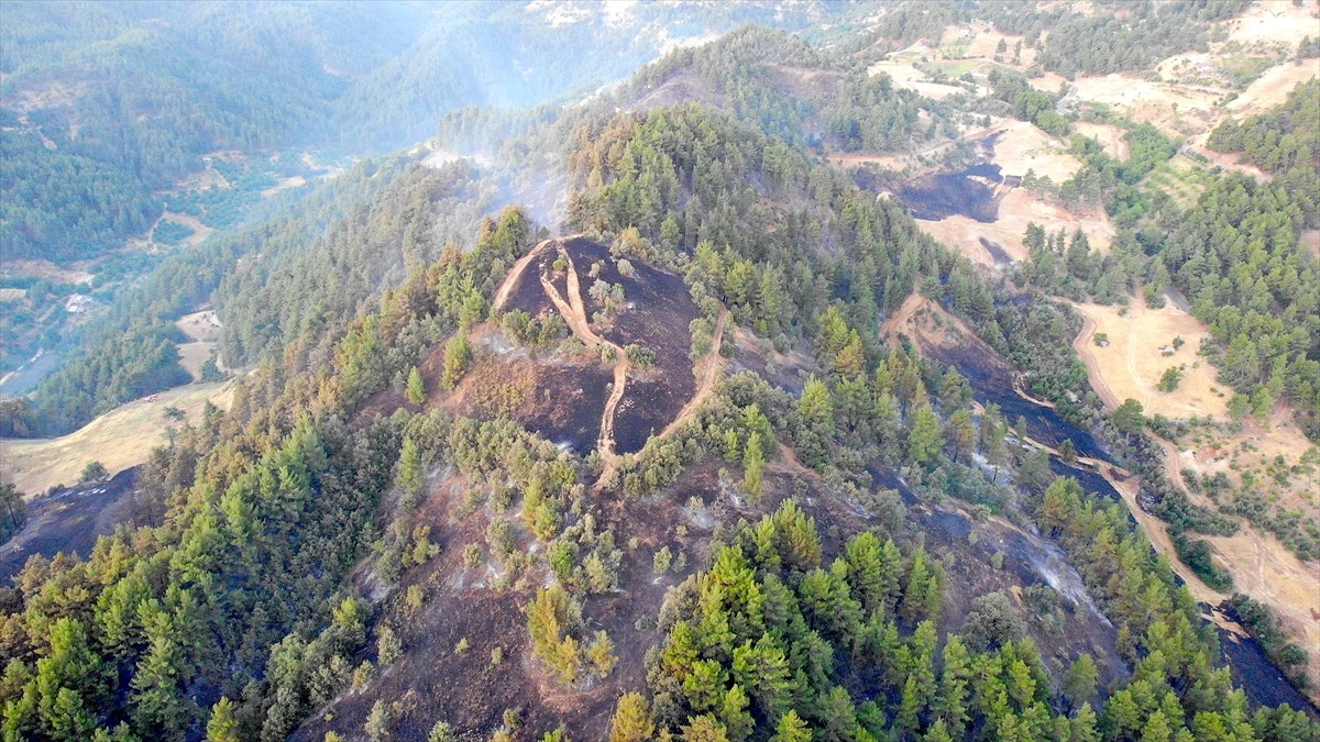Kahramanmaraş'ın Onikişubat ilçesinde çıkan orman yangını, havadan ve karadan müdahaleyle kontrol...