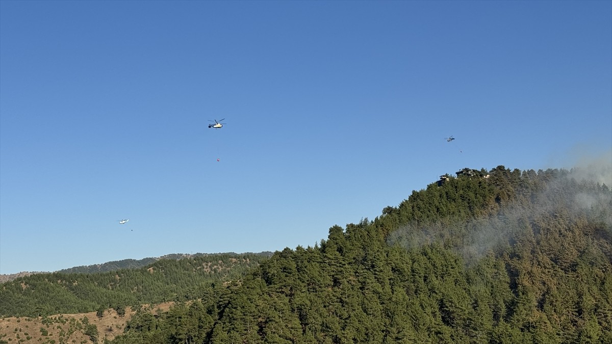 Kahramanmaraş'ın Onikişubat ilçesinde çıkan orman yangınına havadan ve karadan müdahale...