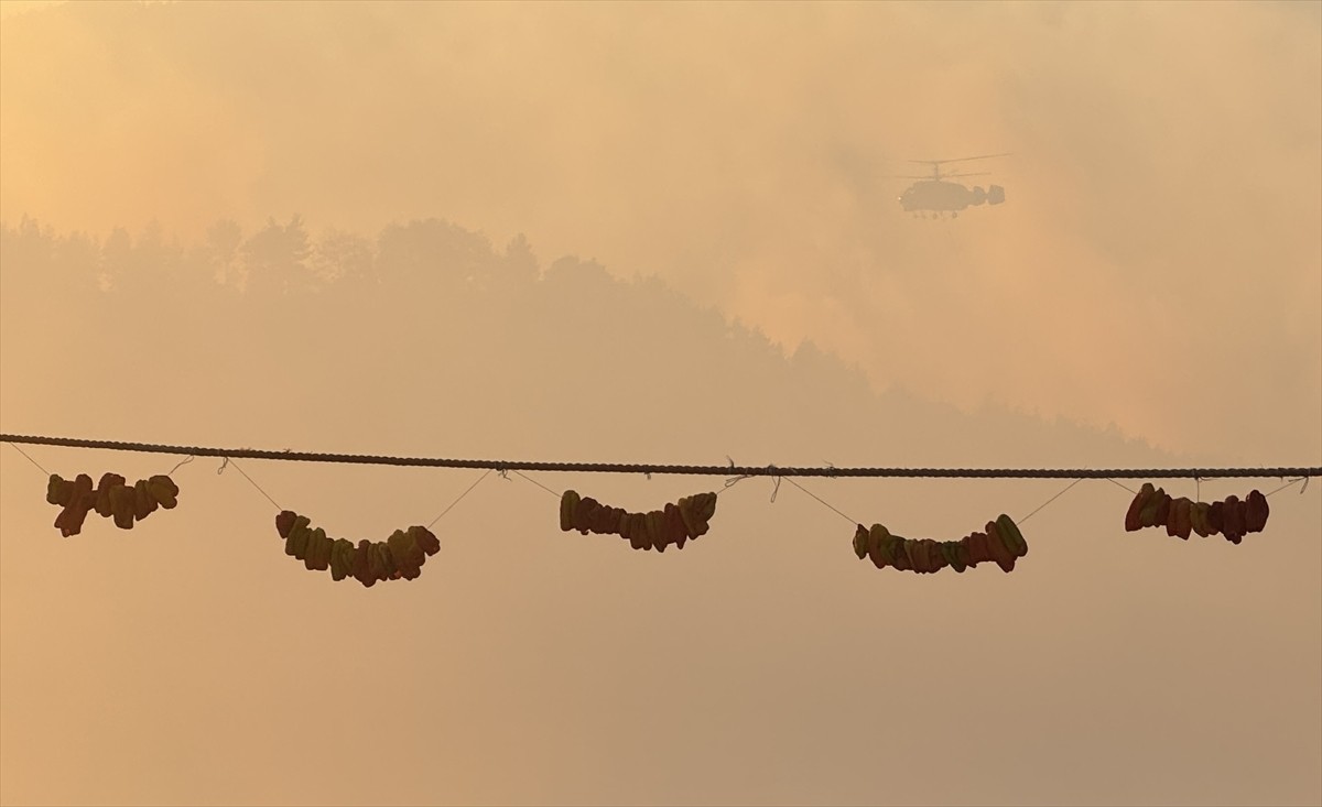 Kahramanmaraş'ın Onikişubat ilçesinde çıkan orman yangınına havadan ve karadan müdahale...
